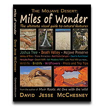 The Mojave Desert: Miles of Wonder
